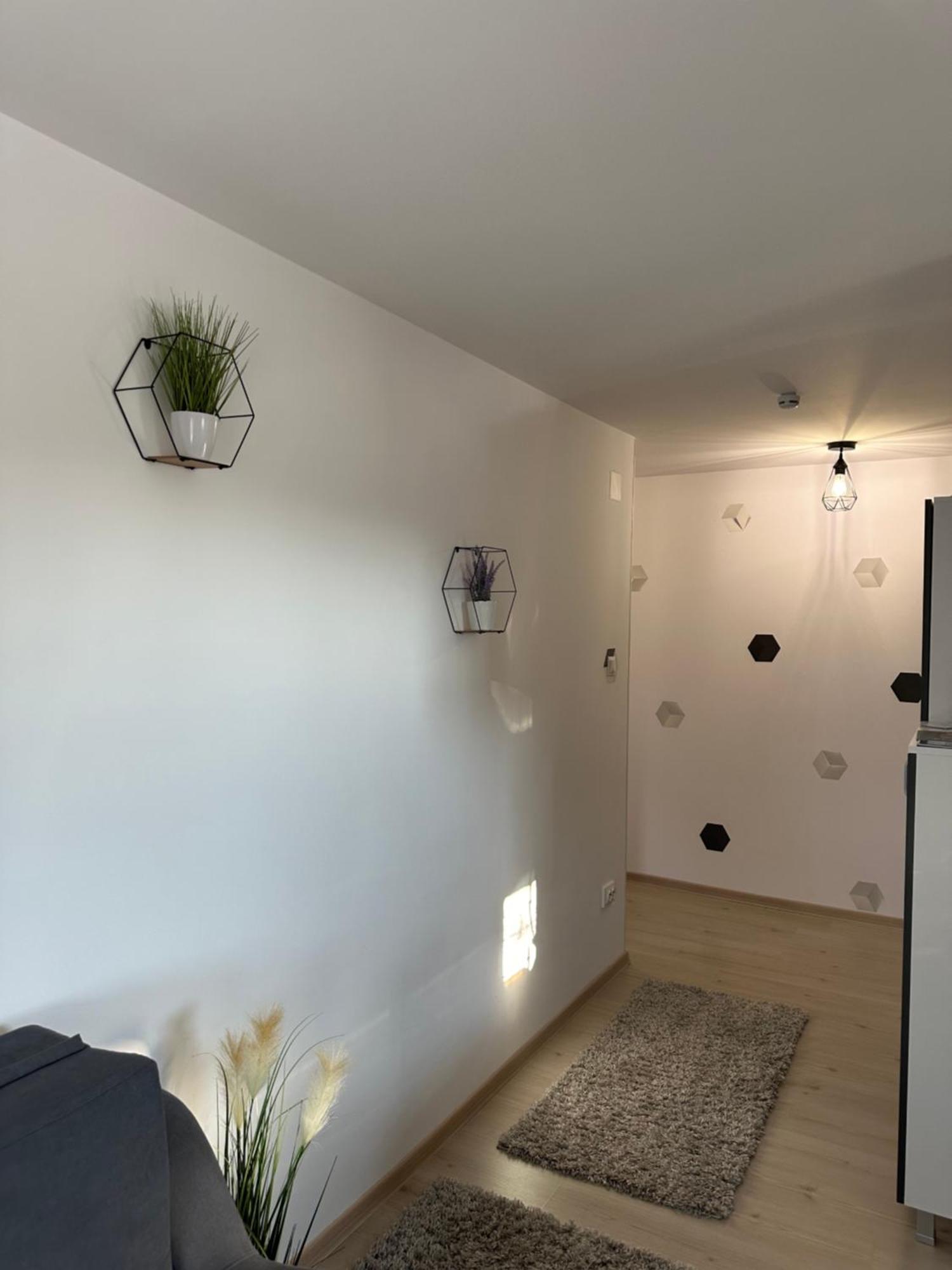 Jokai Apartments Nr7, Code Entry Сфинту-Ґеорґе Екстер'єр фото
